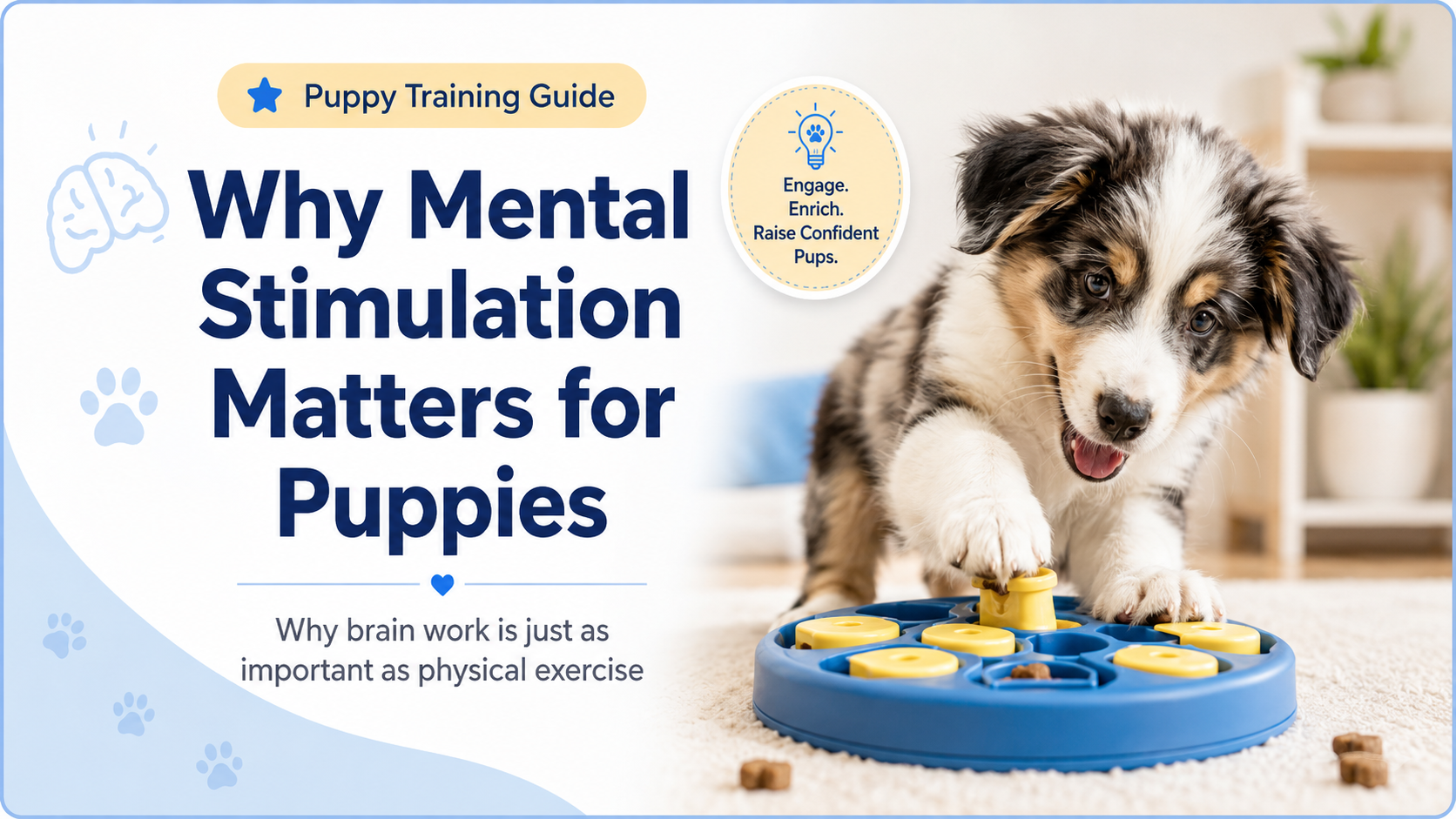Why Mental Stimulation Is Just as Important as Physical Exercise for ...